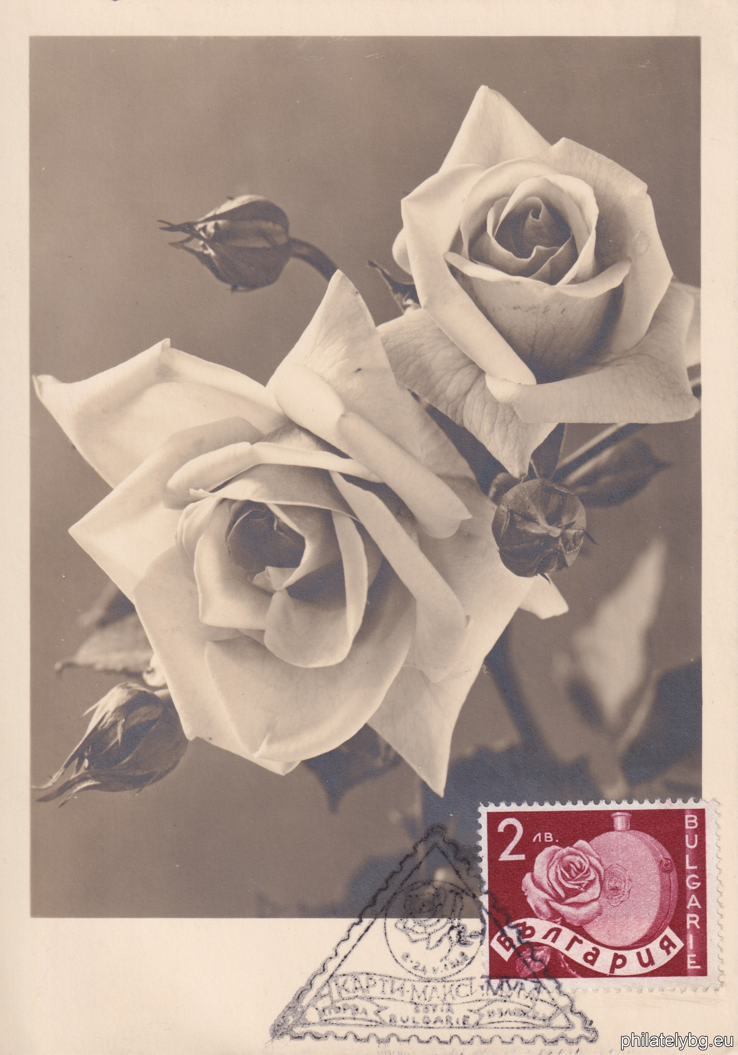 338-339 - reapers; 340-341 - sunflower; 342-343 - ears of wheat; 344-345 - chickens, eggs; 346-347 - grapes; 348-349 - oil-bearing rose and a vessel for rose oil; 350-351 - strawberries; 352-353 - grape picker (allegory); 354-355 - oil-bearing rose; 356-357 - tobacco.