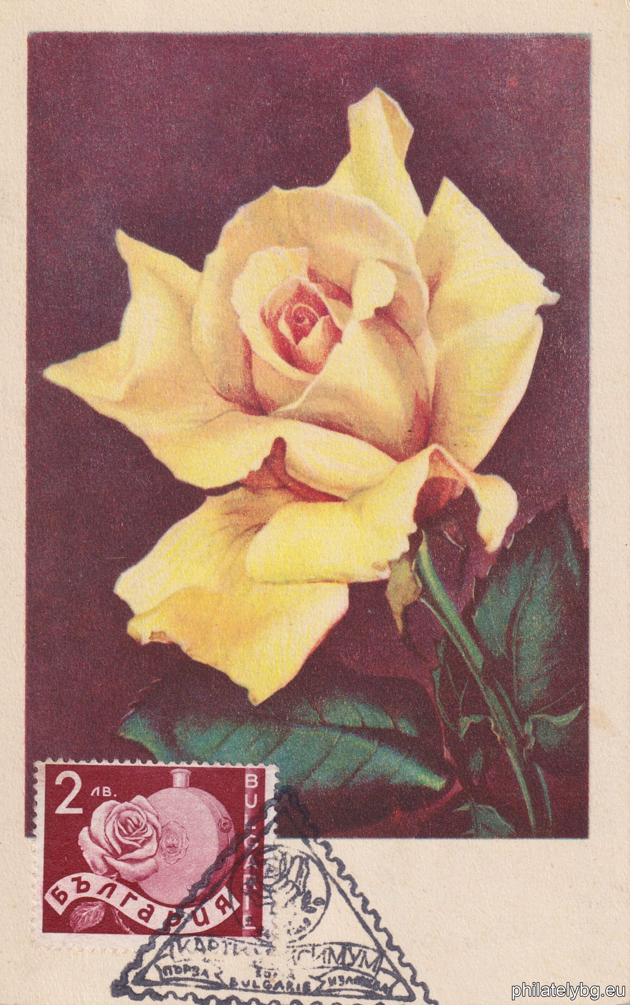 338-339 - reapers; 340-341 - sunflower; 342-343 - ears of wheat; 344-345 - chickens, eggs; 346-347 - grapes; 348-349 - oil-bearing rose and a vessel for rose oil; 350-351 - strawberries; 352-353 - grape picker (allegory); 354-355 - oil-bearing rose; 356-357 - tobacco.