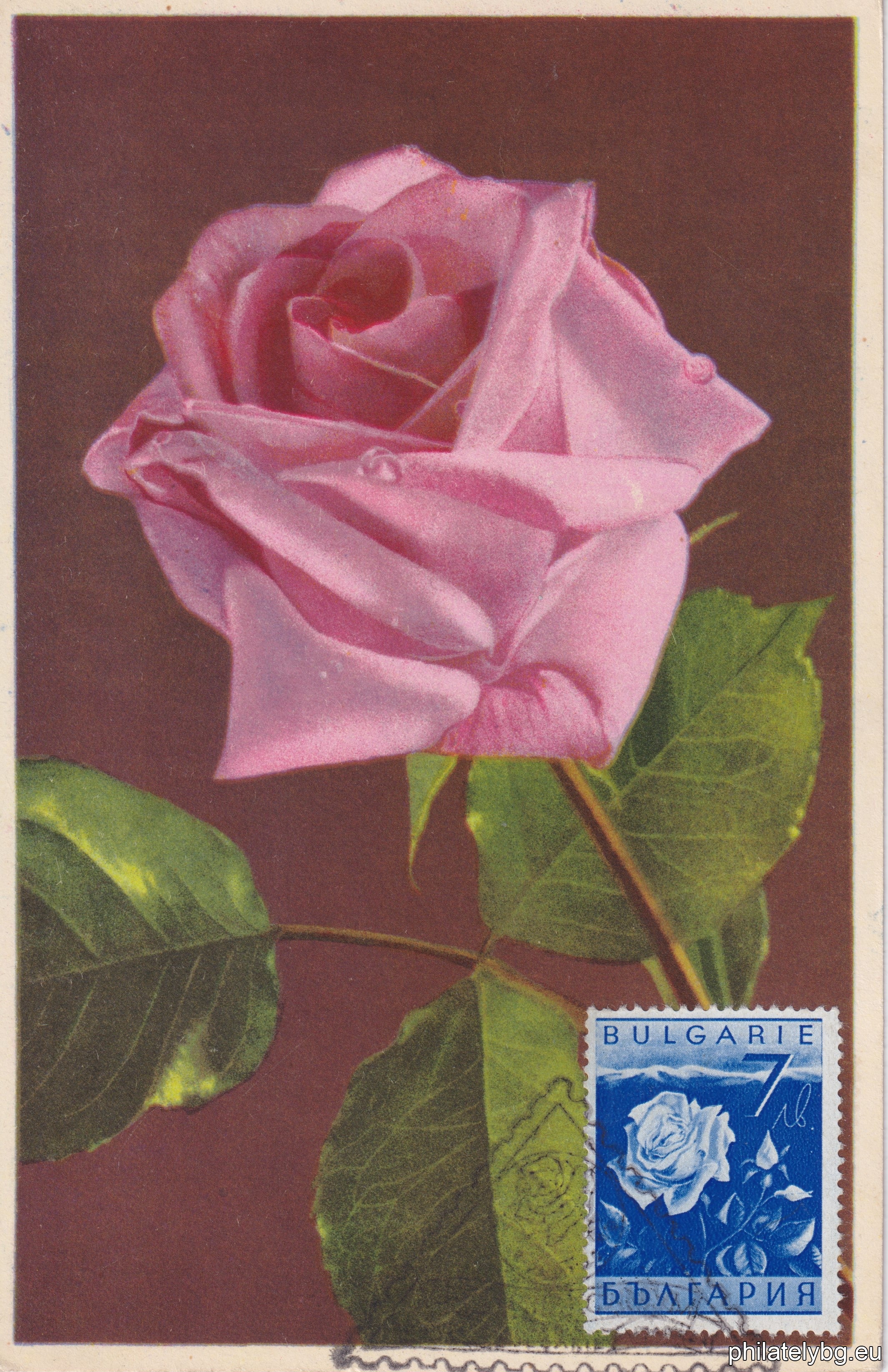 338-339 - reapers; 340-341 - sunflower; 342-343 - ears of wheat; 344-345 - chickens, eggs; 346-347 - grapes; 348-349 - oil-bearing rose and a vessel for rose oil; 350-351 - strawberries; 352-353 - grape picker (allegory); 354-355 - oil-bearing rose; 356-357 - tobacco.