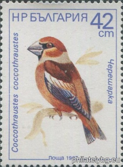 3632 - nuthatch; 3633 - yellow wagtail; 3634 - wood warbler; 3635 - blackbird; 3636 - cherry warbler; 3637 - water starling.