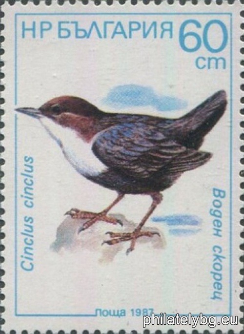 3632 - nuthatch; 3633 - yellow wagtail; 3634 - wood warbler; 3635 - blackbird; 3636 - cherry warbler; 3637 - water starling.