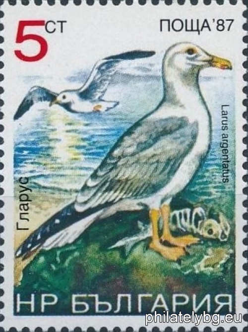 1988