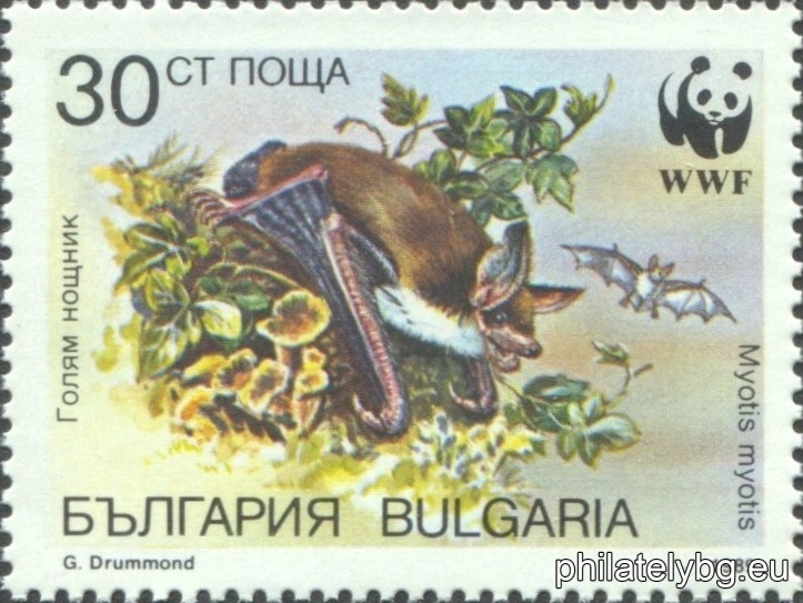 "World Wildlife Fund WWF - bats." - four postage stamps.