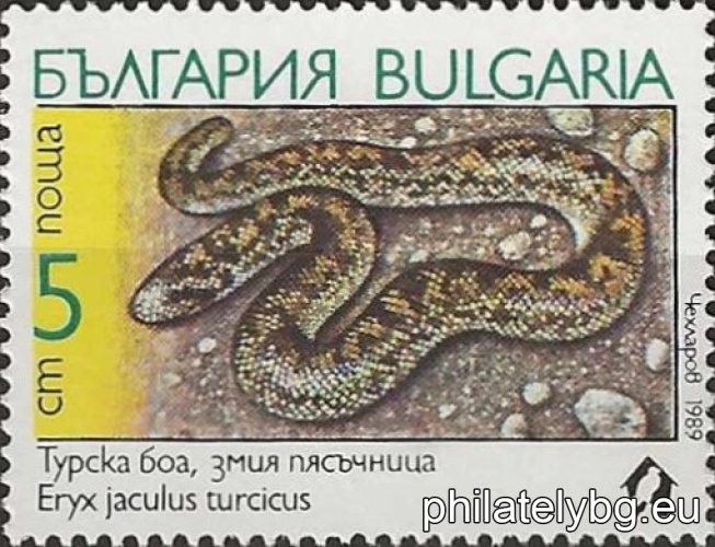 3805 - Turkish boa (sand snake); 3806 - mouse snake; 3807 - leopard snake; 3808 - striped snake (lizard); 3809 - cat snake; 3810 - black-necked darter.