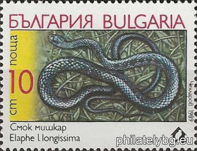 3805 - Turkish boa (sand snake); 3806 - mouse snake; 3807 - leopard snake; 3808 - striped snake (lizard); 3809 - cat snake; 3810 - black-necked darter.