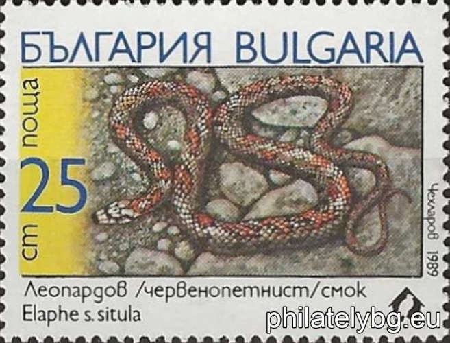 3805 - Turkish boa (sand snake); 3806 - mouse snake; 3807 - leopard snake; 3808 - striped snake (lizard); 3809 - cat snake; 3810 - black-necked darter.