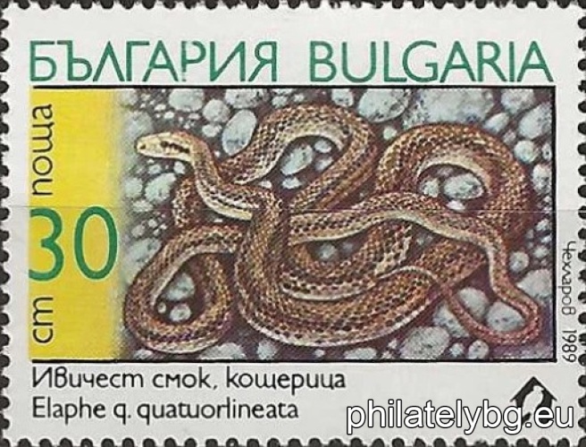 3805 - Turkish boa (sand snake); 3806 - mouse snake; 3807 - leopard snake; 3808 - striped snake (lizard); 3809 - cat snake; 3810 - black-necked darter.