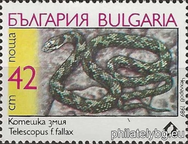 3805 - Turkish boa (sand snake); 3806 - mouse snake; 3807 - leopard snake; 3808 - striped snake (lizard); 3809 - cat snake; 3810 - black-necked darter.
