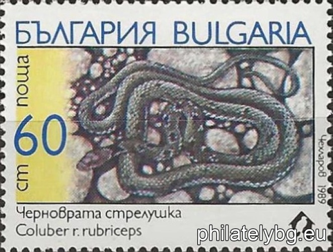 3805 - Turkish boa (sand snake); 3806 - mouse snake; 3807 - leopard snake; 3808 - striped snake (lizard); 3809 - cat snake; 3810 - black-necked darter.