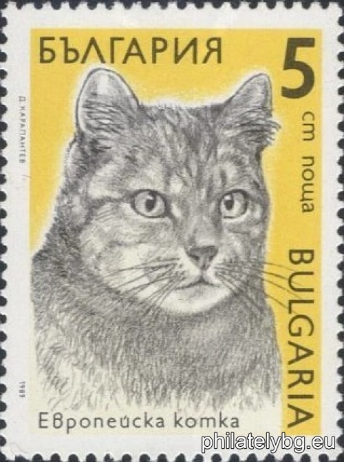 1989