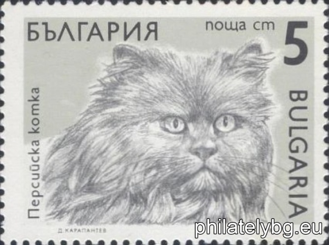 "Regular - cats." - six postage stamps.