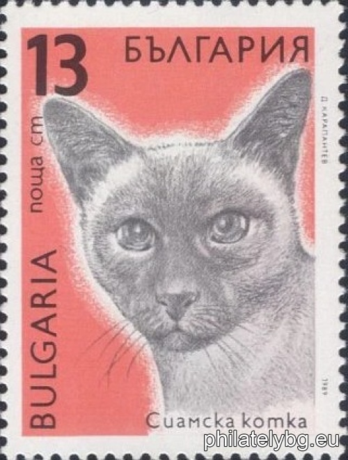 "Regular - cats." - six postage stamps.