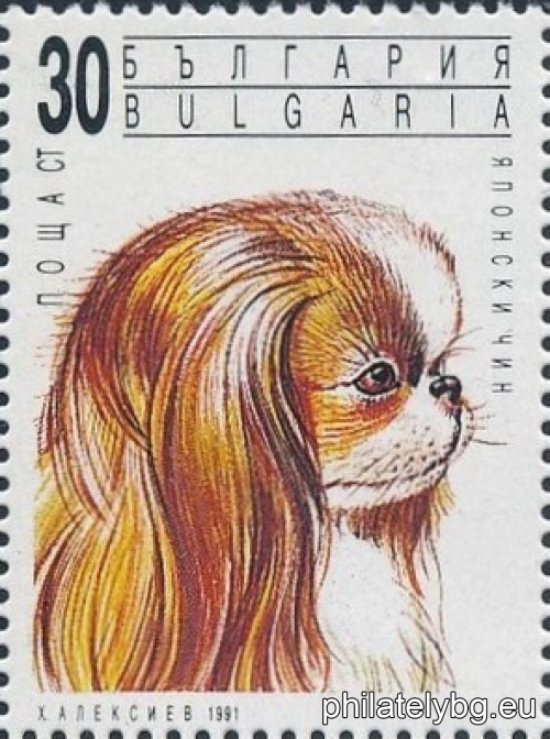 3945 - Japanese Chin; 3946 - Chihuahua; 3947 - Pinscher; 3948 - Yorkshire Terrier; 3949 - Chinese Hairless; 3950 - Pug.