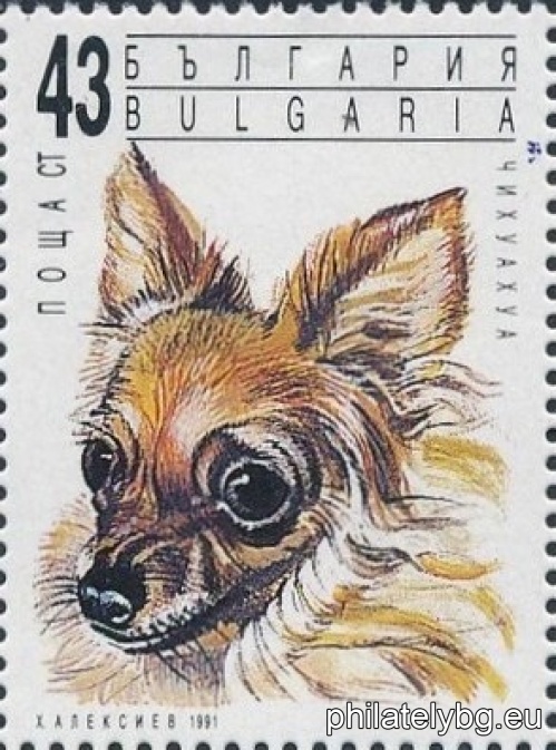 3945 - Japanese Chin; 3946 - Chihuahua; 3947 - Pinscher; 3948 - Yorkshire Terrier; 3949 - Chinese Hairless; 3950 - Pug.