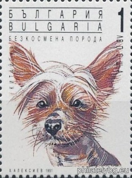3945 - Japanese Chin; 3946 - Chihuahua; 3947 - Pinscher; 3948 - Yorkshire Terrier; 3949 - Chinese Hairless; 3950 - Pug.