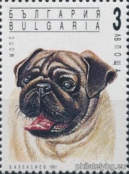3945 - Japanese Chin; 3946 - Chihuahua; 3947 - Pinscher; 3948 - Yorkshire Terrier; 3949 - Chinese Hairless; 3950 - Pug.