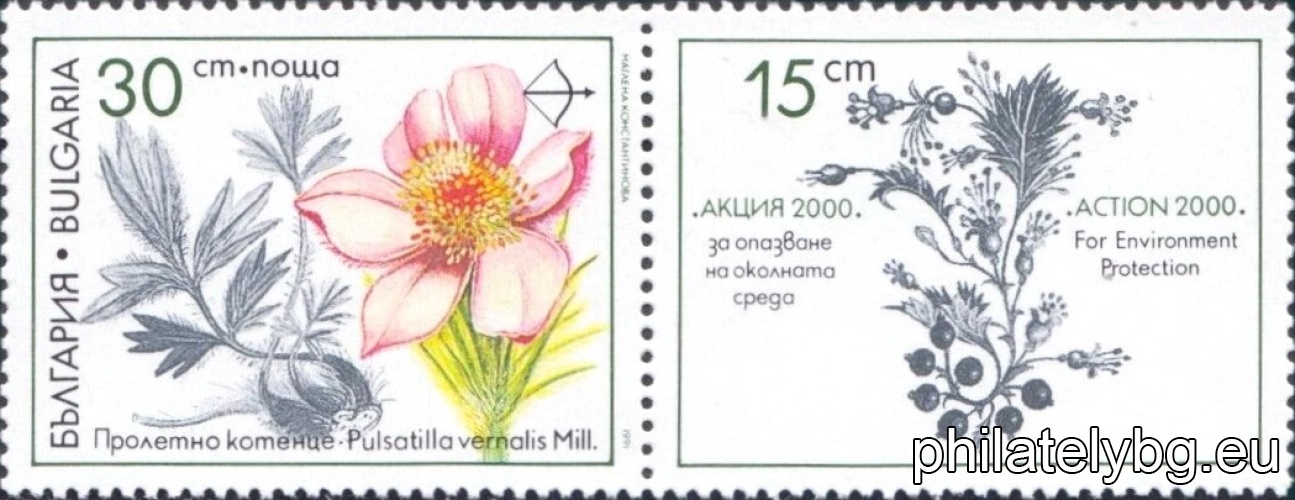 3969 - spring catkin; on the vignette - hawthorn; 3970 - field catkin; 3971 - hallers catkin; 3972 - kandilka; 3973 - sea buckthorn; 3974 - black currant (cassis).