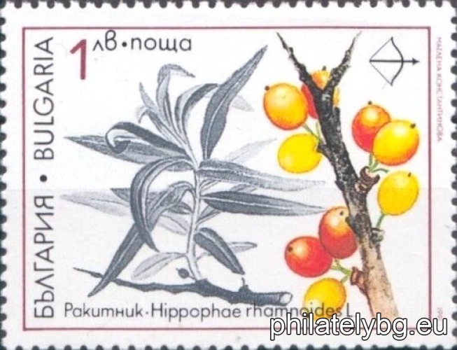 3969 - spring catkin; on the vignette - hawthorn; 3970 - field catkin; 3971 - hallers catkin; 3972 - kandilka; 3973 - sea buckthorn; 3974 - black currant (cassis).