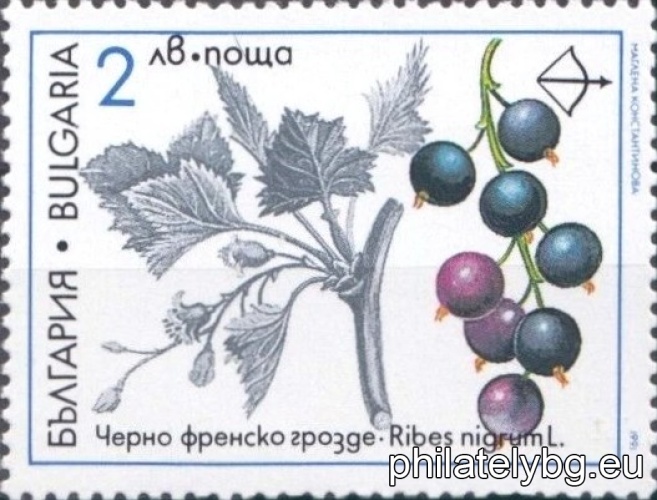 3969 - spring catkin; on the vignette - hawthorn; 3970 - field catkin; 3971 - hallers catkin; 3972 - kandilka; 3973 - sea buckthorn; 3974 - black currant (cassis).
