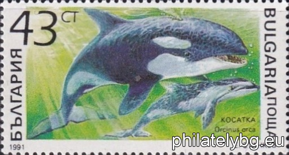 3975 - harp seal; 3976 - killer whale; 3977 - walrus; 3978 - bottlenose dolphin; 3979 - monk seal; 3980 - porpoise.