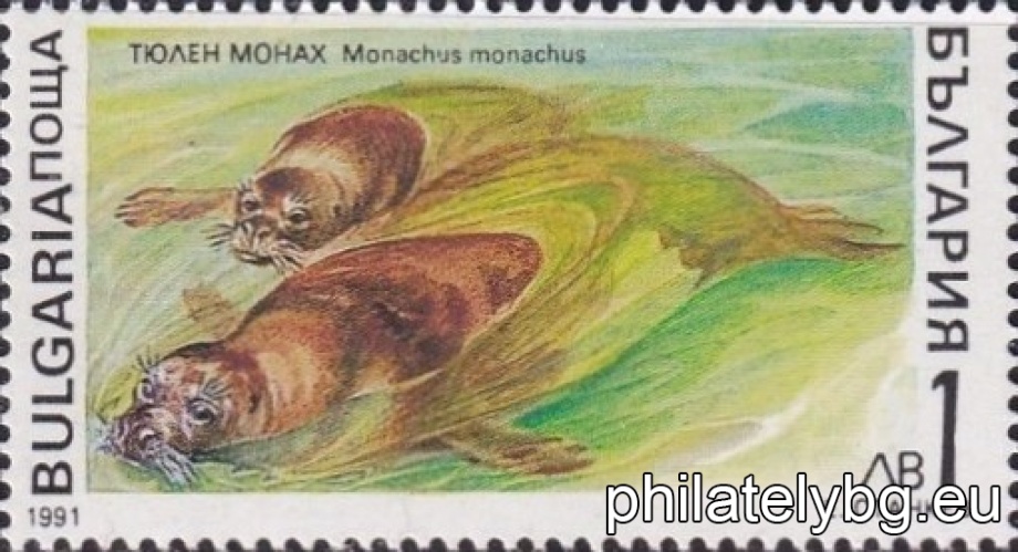 3975 - harp seal; 3976 - killer whale; 3977 - walrus; 3978 - bottlenose dolphin; 3979 - monk seal; 3980 - porpoise.
