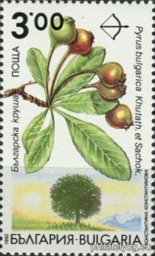 "Endemic trees in Bulgaria." - six postage stamps.