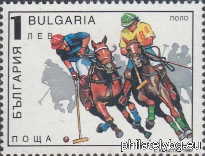 4042 - baseball; 4043 - cricket; 4044 - polo; 4045 - horse racing; 4046 - field hockey; 4047 - American football.