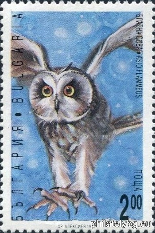 "Nocturnal birds of prey." - six postage stamps.