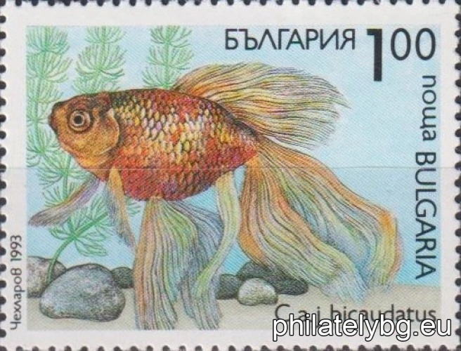 „ Декоративни рибки. “ - шест пощенски марки.