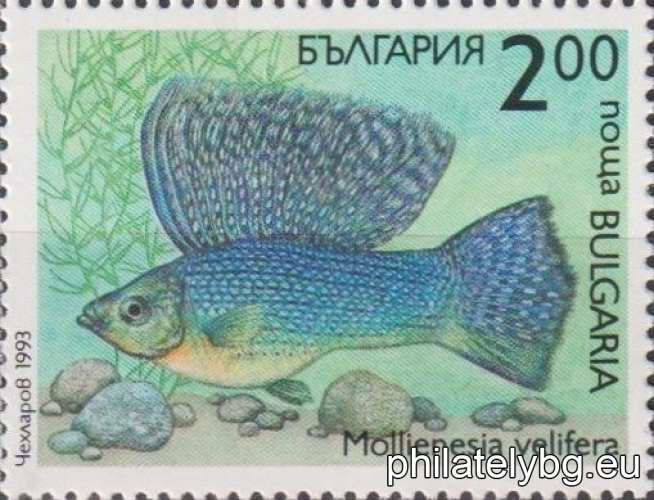 „ Декоративни рибки. “ - шест пощенски марки.