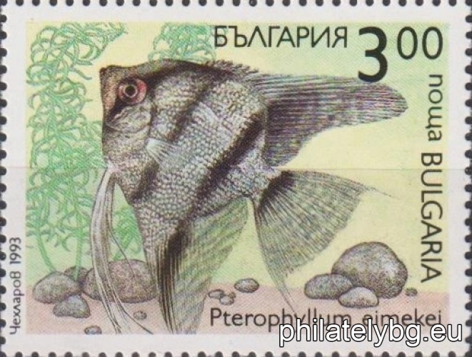 „ Декоративни рибки. “ - шест пощенски марки.