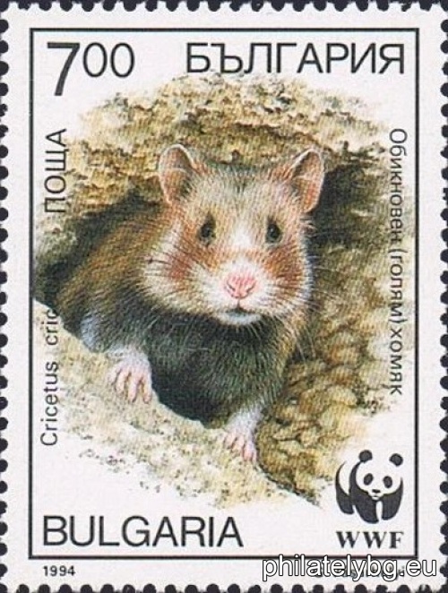 „ Фонд за защита на дивата природа (WWF) - обикновен (голям)хомяк. “ - четири пощенски марки.