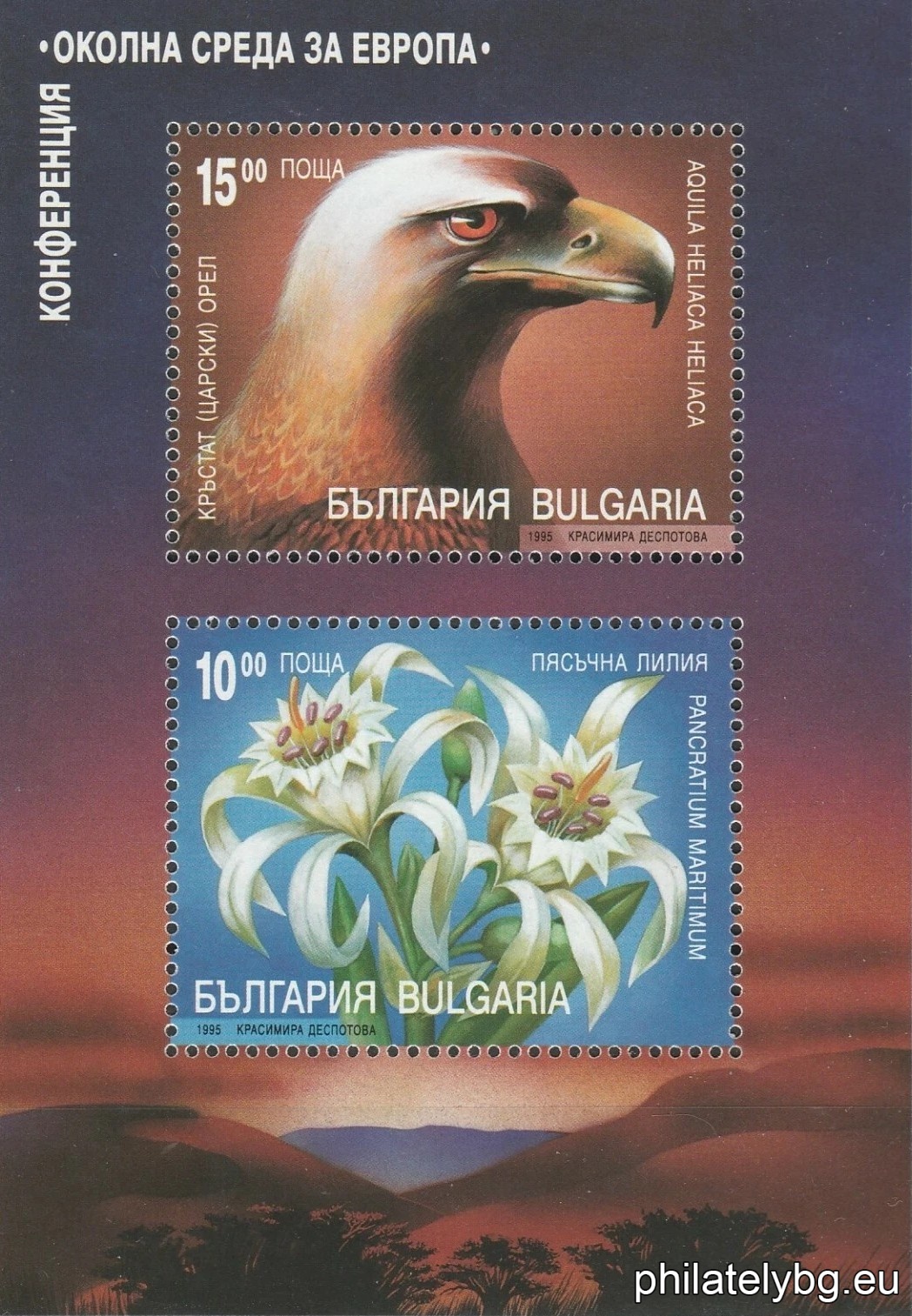Красимира Деспотова