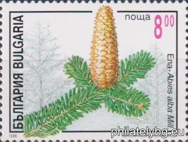 „ Иглолистни растения. “ - шест пощенски марки.