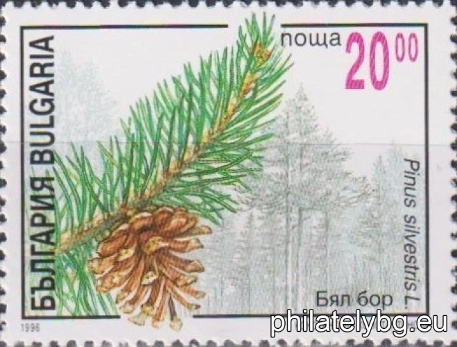 „ Иглолистни растения. “ - шест пощенски марки.