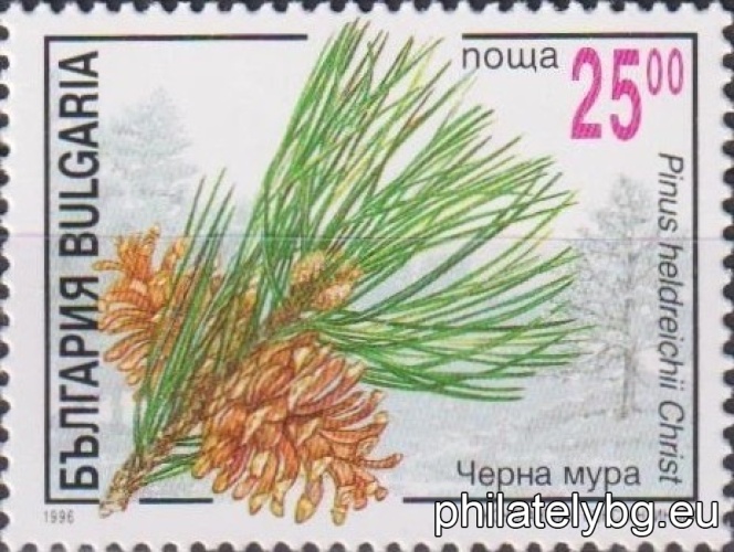 „ Иглолистни растения. “ - шест пощенски марки.