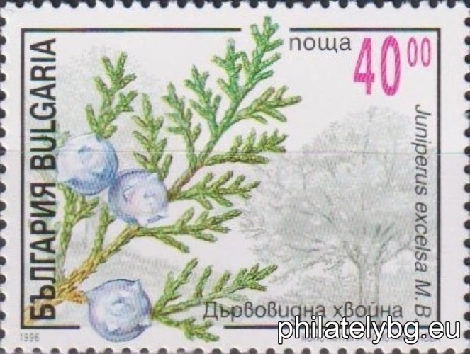 „ Иглолистни растения. “ - шест пощенски марки.