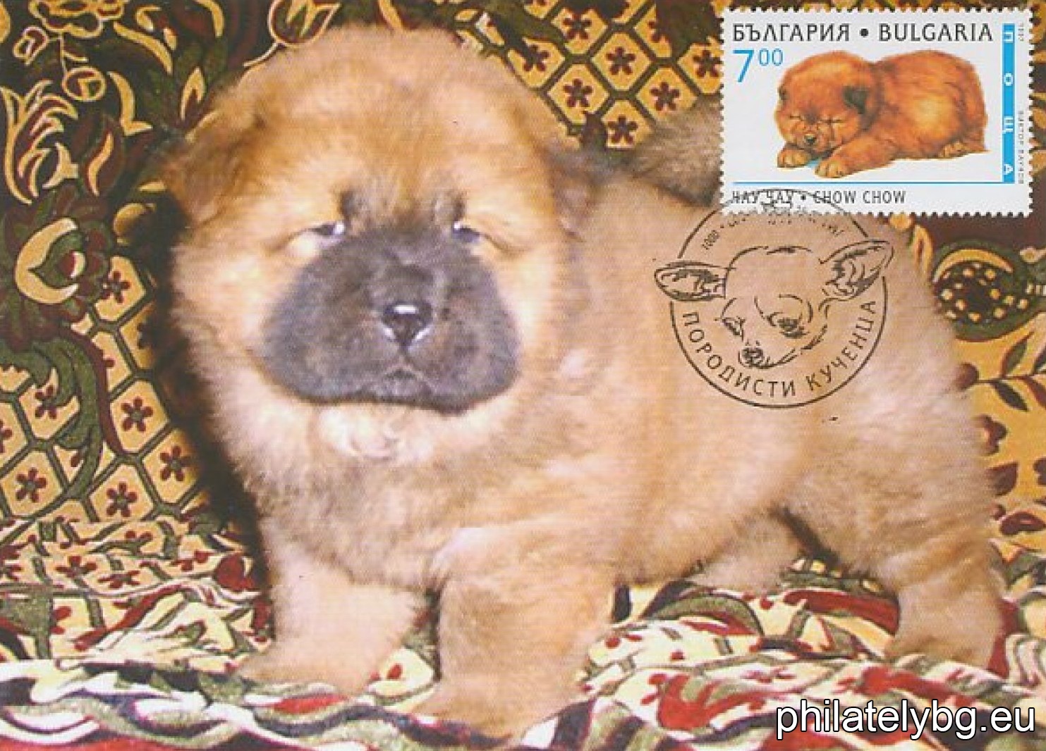 4275 - Pointer; 4276 - Chow Chow; 4277 - Karakachan Dog; 4278 - Basset Hound.