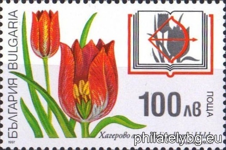 "Plants from the "Red Book of Bulgaria". " - four postage stamps.