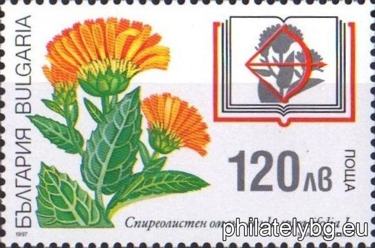 "Plants from the "Red Book of Bulgaria". " - four postage stamps.