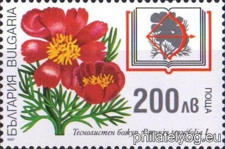 "Plants from the "Red Book of Bulgaria". " - four postage stamps.
