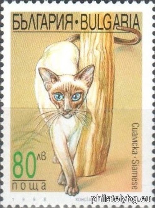 „ Породи котки. “ - четири пощенски марки.