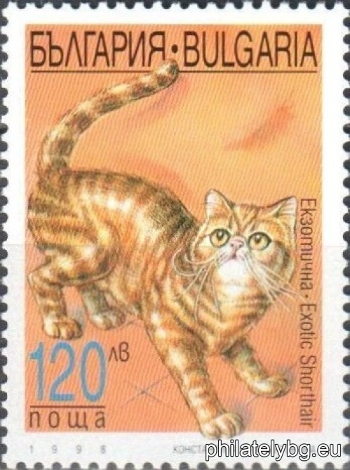 „ Породи котки. “ - четири пощенски марки.