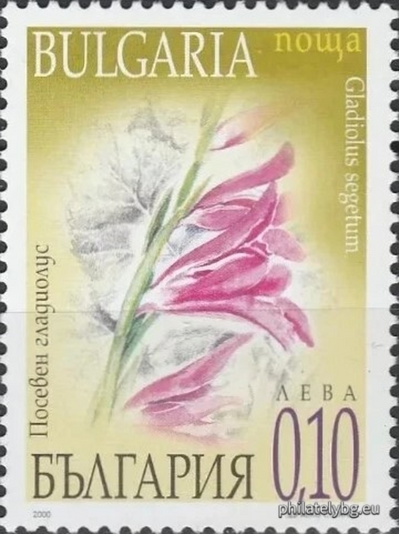 "Spring Flowers" - four postage stamps and a special postmark.