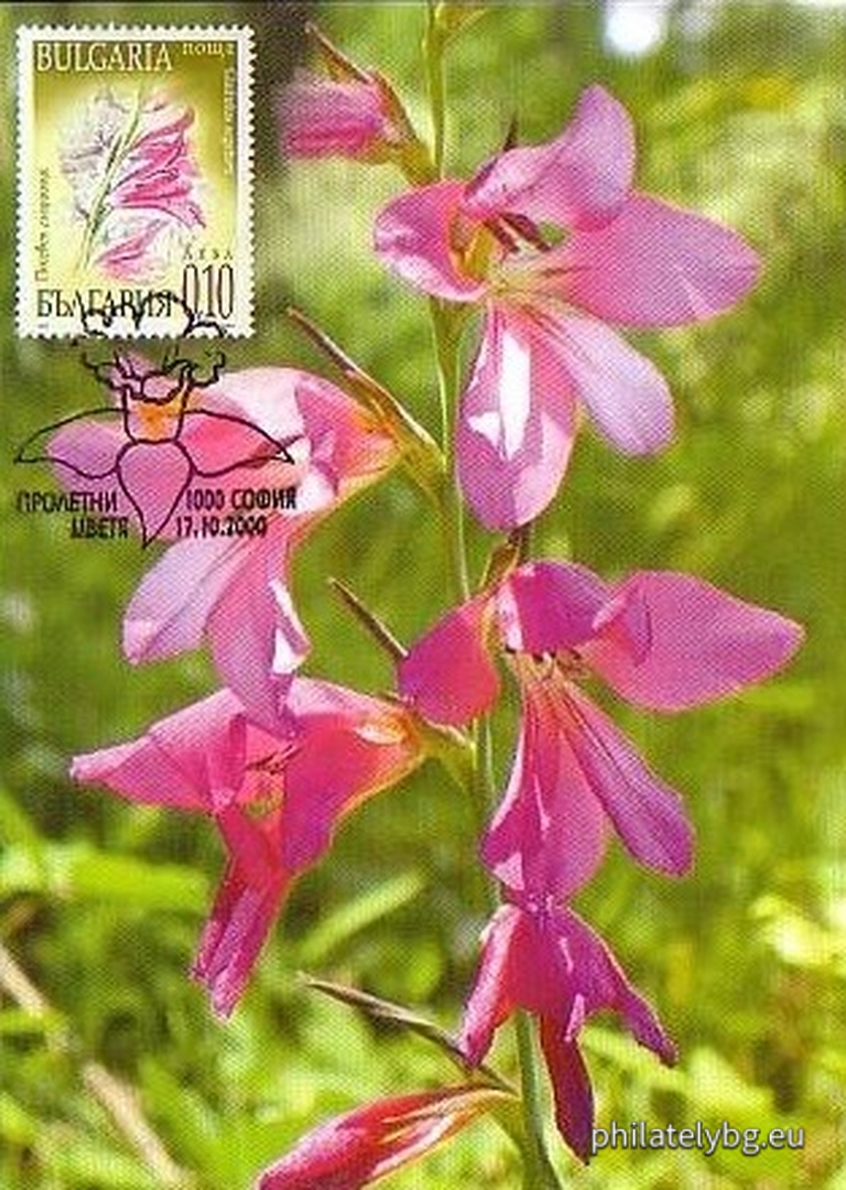 "Spring Flowers" - four postage stamps and a special postmark.