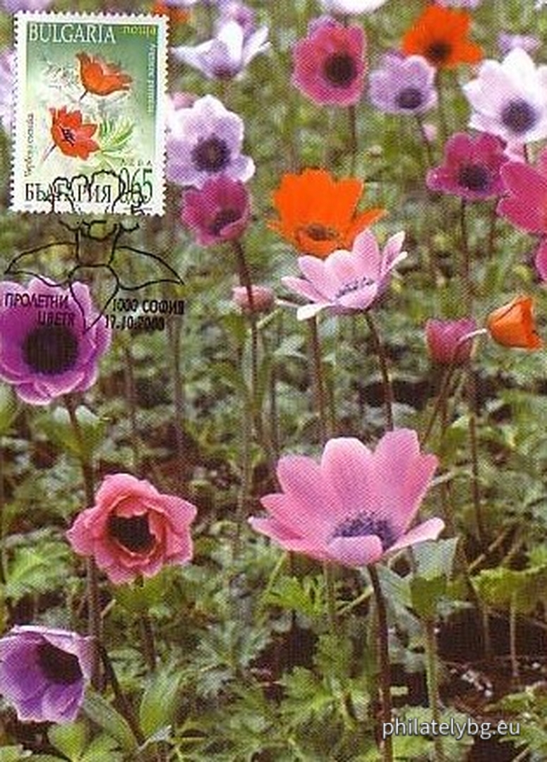 "Spring Flowers" - four postage stamps and a special postmark.