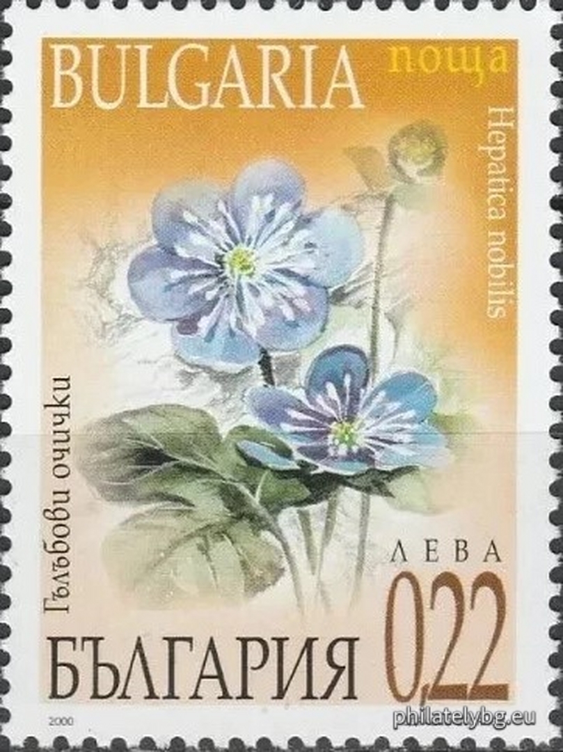 "Spring Flowers" - four postage stamps and a special postmark.