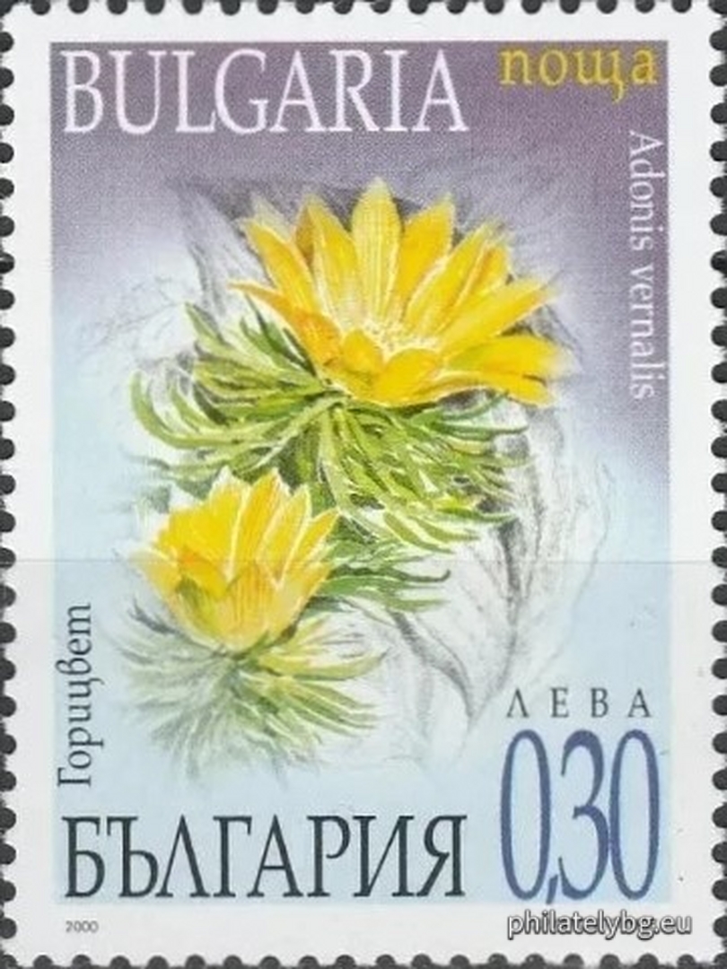 "Spring Flowers" - four postage stamps and a special postmark.