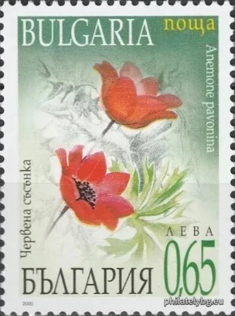 "Spring Flowers" - four postage stamps and a special postmark.