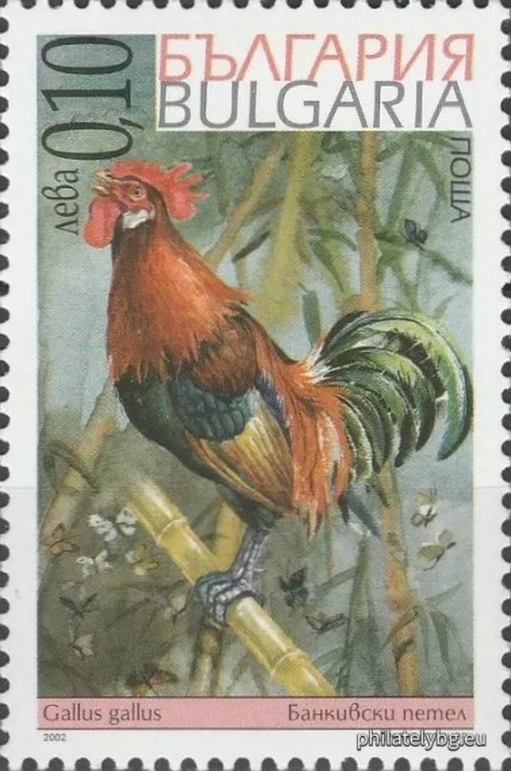 "Breeds of Roosters" - four postage stamps and a special postage stamp.